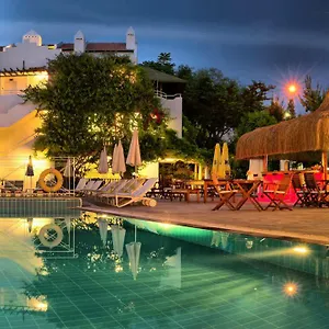 book here